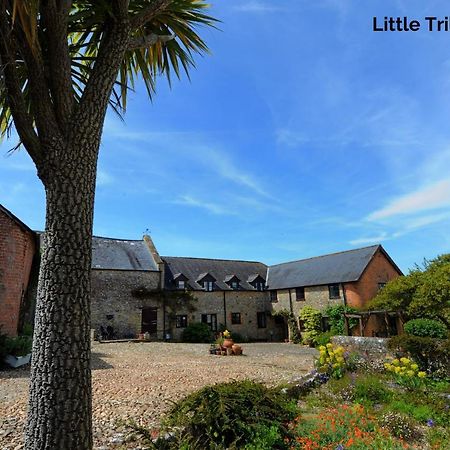 Musbury Trill Cottage מראה חיצוני תמונה