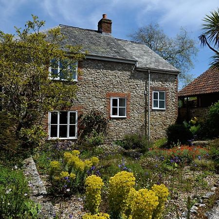 Musbury Trill Cottage מראה חיצוני תמונה